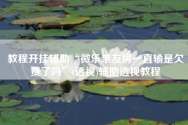 教程开挂辅助“微乐亲友房一直输是欠费了吗	”(透视)辅助透视教程