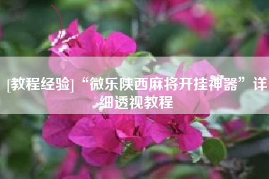 [教程经验]“微乐陕西麻将开挂神器”详细透视教程