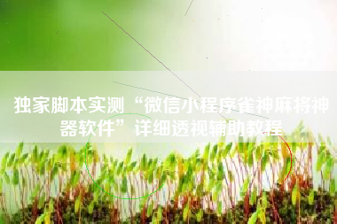 独家脚本实测“微信小程序雀神麻将神器软件”详细透视辅助教程