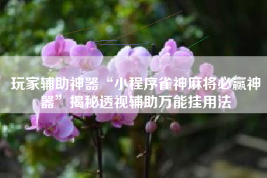 玩家辅助神器“小程序雀神麻将必赢神器”揭秘透视辅助万能挂用法