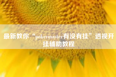 最新教你“pokermaster有没有挂	”透视开挂辅助教程
