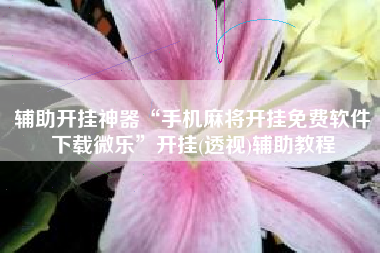 辅助开挂神器“手机麻将开挂免费软件下载微乐	”开挂(透视)辅助教程