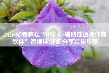 玩家必看教程“HHpoker辅助挂透视作弊软件”透视挂!详细分享装挂步骤
