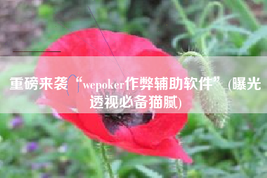 重磅来袭“wepoker作弊辅助软件”(曝光透视必备猫腻)