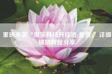 重磅来袭“微乐科技开挂器(免费)	”详细辅助教程分享