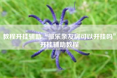 教程开挂辅助“微乐亲友房可以开挂吗”开挂辅助教程