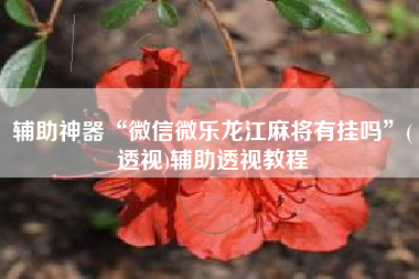 辅助神器“微信微乐龙江麻将有挂吗”(透视)辅助透视教程