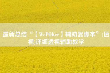 最新总结“【WePOKer】辅助器脚本”(透视)详细透视辅助教学