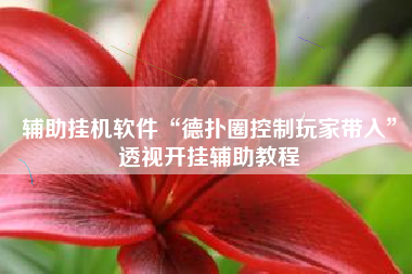 辅助挂机软件“德扑圈控制玩家带入”透视开挂辅助教程