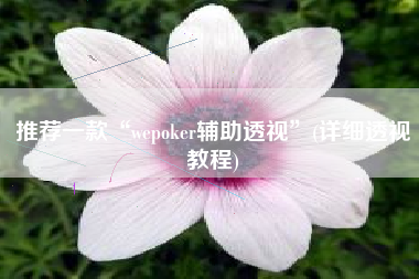 推荐一款“wepoker辅助透视”(详细透视教程)