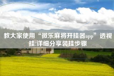教大家使用“微乐麻将开挂器app	”透视挂!详细分享装挂步骤