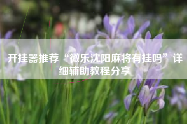 开挂器推荐“微乐沈阳麻将有挂吗”详细辅助教程分享