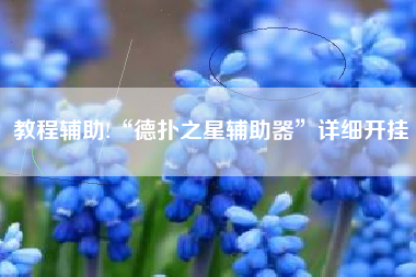 教程辅助!“德扑之星辅助器	”详细开挂