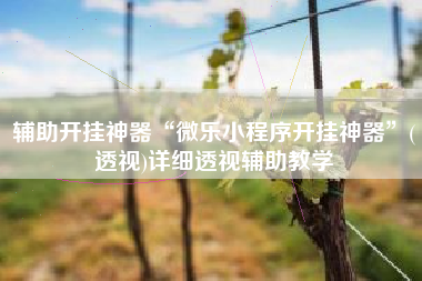 辅助开挂神器“微乐小程序开挂神器”(透视)详细透视辅助教学