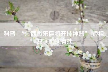 科普|“广西微乐麻将开挂神器”(透视)其实确实有挂