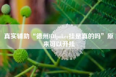 真实辅助“德州HHpoker挂是真的吗”原来可以开挂