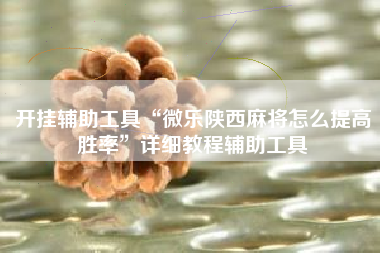 开挂辅助工具“微乐陕西麻将怎么提高胜率”详细教程辅助工具