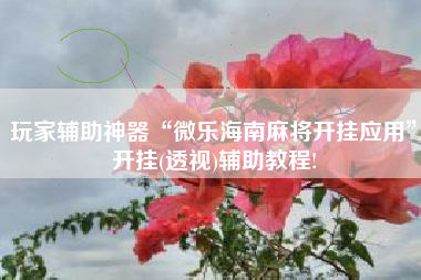 玩家辅助神器“微乐海南麻将开挂应用”开挂(透视)辅助教程!