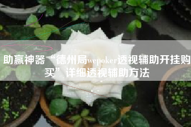 助赢神器“德州局wepoker透视辅助开挂购买”详细透视辅助方法