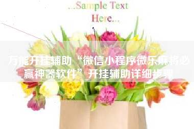 万能开挂辅助“微信小程序微乐麻将必赢神器软件”开挂辅助详细步骤