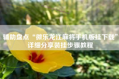 辅助盘点“微乐龙江麻将手机版挂下载”详细分享装挂步骤教程