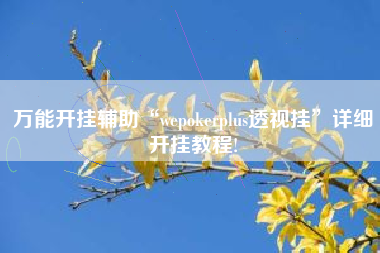 万能开挂辅助“wepokerplus透视挂	”详细开挂教程!