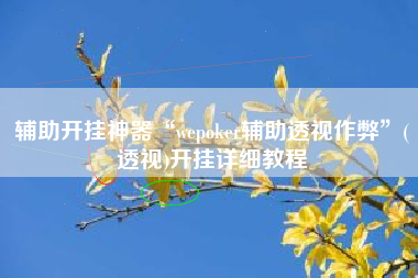 辅助开挂神器“wepoker辅助透视作弊”(透视)开挂详细教程
