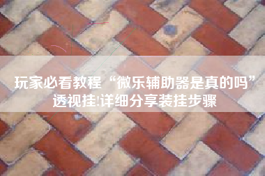 玩家必看教程“微乐辅助器是真的吗”透视挂!详细分享装挂步骤