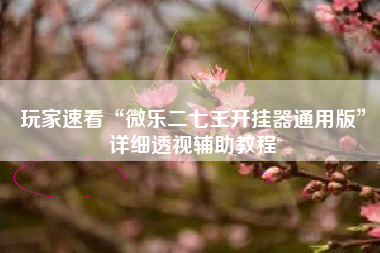 玩家速看“微乐二七王开挂器通用版	”详细透视辅助教程