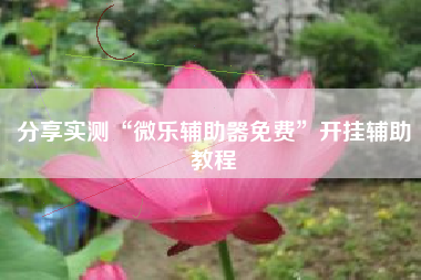 分享实测“微乐辅助器免费”开挂辅助教程