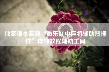 独家脚本实测“微乐红中麻将辅助器插件	”详细教程辅助工具