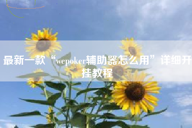 最新一款“wepoker辅助器怎么用”详细开挂教程