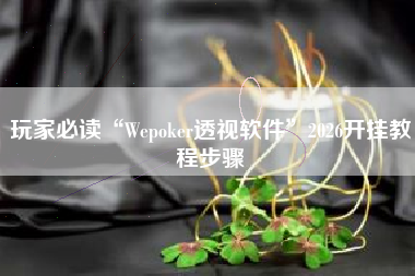玩家必读“Wepoker透视软件	”2026开挂教程步骤