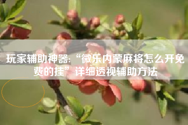 玩家辅助神器:“微乐内蒙麻将怎么开免费的挂	”详细透视辅助方法