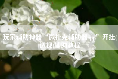 玩家辅助神器“微扑克辅助器app”开挂(透视)辅助教程