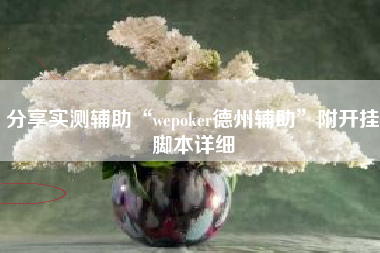 分享实测辅助“wepoker德州辅助”附开挂脚本详细