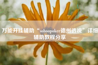 万能开挂辅助“sohoopoker德州透视”详细辅助教程分享