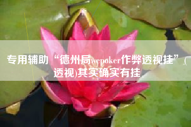 专用辅助“德州局wepoker作弊透视挂”(透视)其实确实有挂
