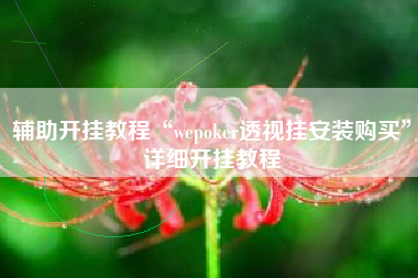 辅助开挂教程“wepoker透视挂安装购买	”详细开挂教程
