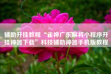 辅助开挂教程“雀神广东麻将小程序开挂神器下载	”科技辅助神器手机版教程