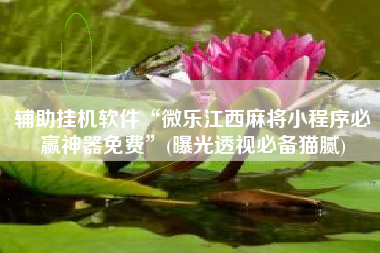 辅助挂机软件“微乐江西麻将小程序必赢神器免费	”(曝光透视必备猫腻)