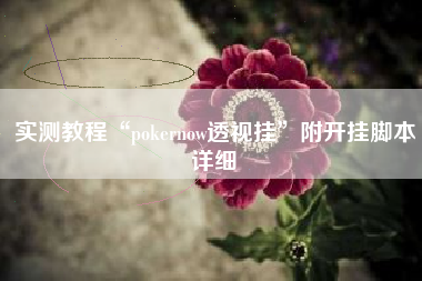 实测教程“pokernow透视挂”附开挂脚本详细