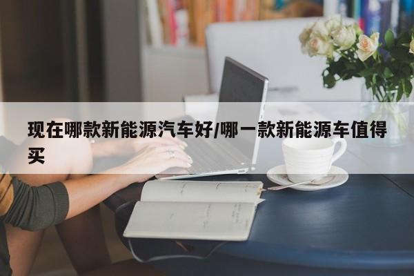 现在哪款新能源汽车好/哪一款新能源车值得买