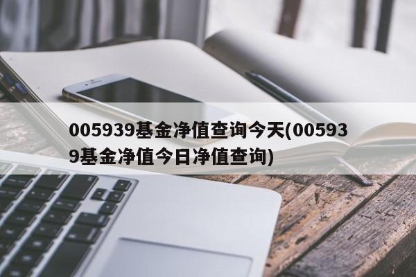 005939基金净值查询今天(005939基金净值今日净值查询)