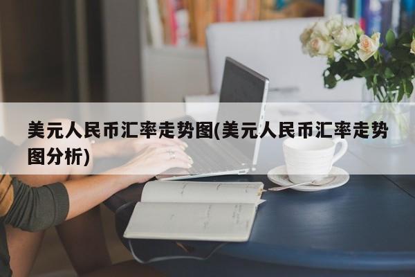 美元人民币汇率走势图(美元人民币汇率走势图分析)