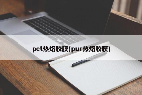 pet热熔胶膜(pur热熔胶膜)